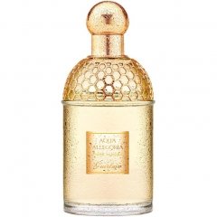 Aqua Allegoria Tiaré Mimosa